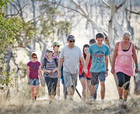 Winton Wetlands Reserve - New South Wales Tourism  0