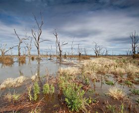 Winton Wetlands Reserve - New South Wales Tourism  4