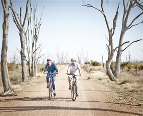 Winton Wetlands Reserve - New South Wales Tourism  6