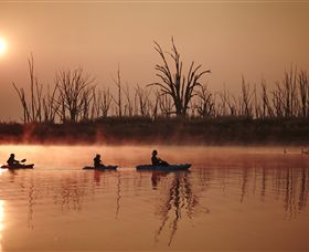 Winton Wetlands Reserve - New South Wales Tourism  7