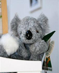 Timboon West VIC New South Wales Tourism 