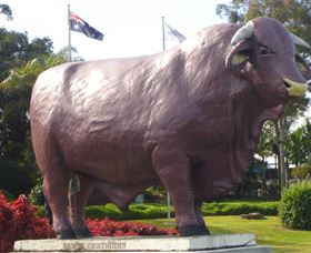 Rockhampton Bull Statues - New South Wales Tourism  0