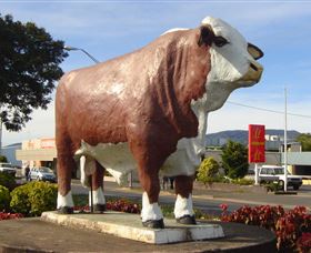 Rockhampton Bull Statues - New South Wales Tourism  2