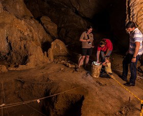 Capricorn Caves - New South Wales Tourism  2