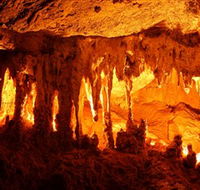 Capricorn Caves - New South Wales Tourism 