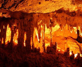 Capricorn Caves - New South Wales Tourism  0