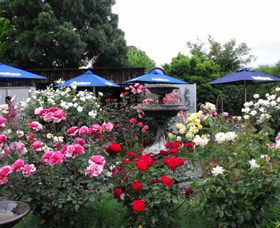 Canowindra Trading Post - New South Wales Tourism  2