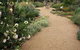 Perennialle Plants Nursery And Garden - thumb 0