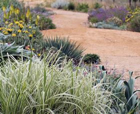 Perennialle Plants Nursery And Garden - New South Wales Tourism  1