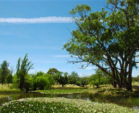 Wirraminna Environmental Education Centre - New South Wales Tourism  0