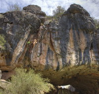 Borenore Karst Conservation Reserve - New South Wales Tourism 