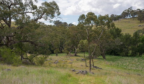 Verandah Cave - New South Wales Tourism  1