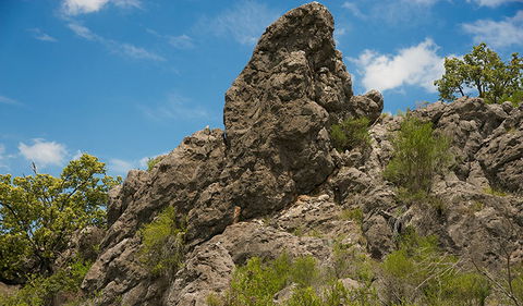 Verandah Cave - New South Wales Tourism  2