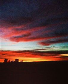 Big Springs NSW New South Wales Tourism 