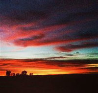 Springview Eco-Farm - New South Wales Tourism 