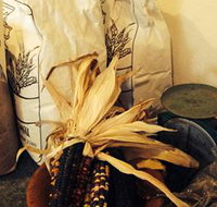 Buronga Organics - Coota - New South Wales Tourism 