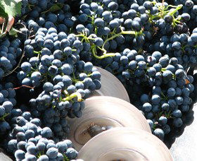 Orange Mountain Wines - New South Wales Tourism  2