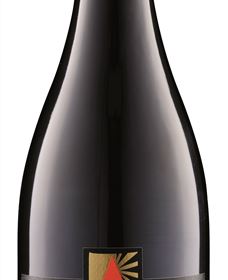 Orange Mountain Wines - New South Wales Tourism  5