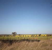 Cootamundra Bird Walk - New South Wales Tourism 