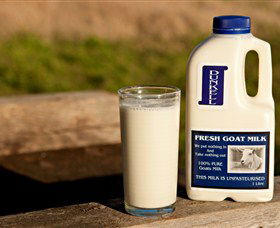 Dunkell Goats - New South Wales Tourism  2