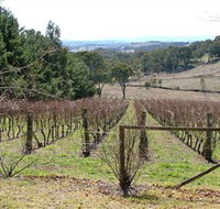 Habitat Vineyard - New South Wales Tourism 