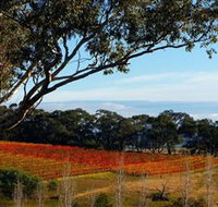 Bloodwood Estate - New South Wales Tourism 