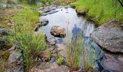 Hopetoun Falls Walking Track - New South Wales Tourism  1