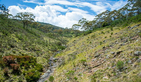 Hopetoun Falls Walking Track - New South Wales Tourism  3