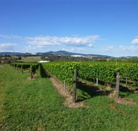 Hedberg Hill Wines - New South Wales Tourism 