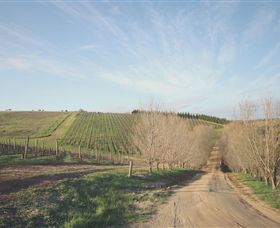 Austins & Co. - New South Wales Tourism  0