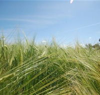 150 Degrees East Meridian - New South Wales Tourism 