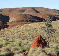 Camel Trail Millstream-Chichester National Park - New South Wales Tourism 