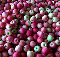 Hillside Orchard - New South Wales Tourism 