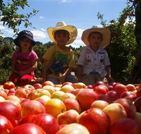 Bonny Glen Fruits - New South Wales Tourism 