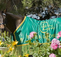 Living Legends The International Home of Rest for Champion Horses - New South Wales Tourism 