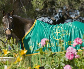 Living Legends: The International Home Of Rest For Champion Horses - New South Wales Tourism  0
