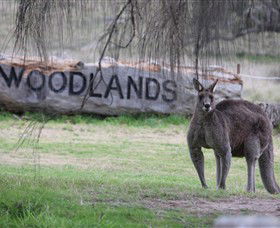 Living Legends: The International Home Of Rest For Champion Horses - New South Wales Tourism  1