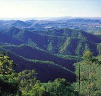 Kroombit Tops National Park - New South Wales Tourism 