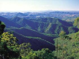 Kroombit Tops National Park - New South Wales Tourism  0