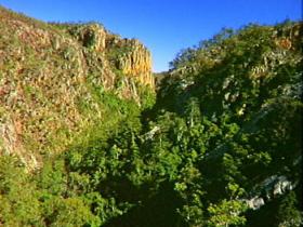 Kroombit Tops National Park - New South Wales Tourism  2