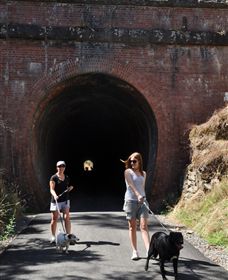 Cheviot Tunnel - New South Wales Tourism  0