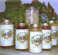 Greentrees Gourmet Preserves - New South Wales Tourism 