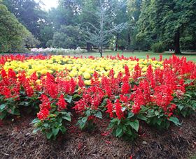 Cook Park - New South Wales Tourism  1