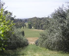 Samaria Farm - New South Wales Tourism  7