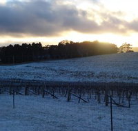 Charles Sturt University Winery - New South Wales Tourism 