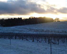 Charles Sturt University Winery - New South Wales Tourism  0