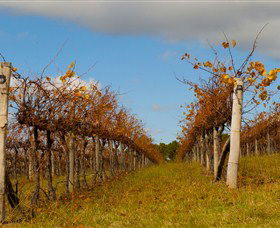 Charles Sturt University Winery - New South Wales Tourism  2