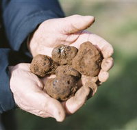 A Slice of Orange - New South Wales Tourism 