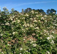 Huntley Berry Farm - New South Wales Tourism 