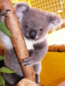  New South Wales Tourism 
